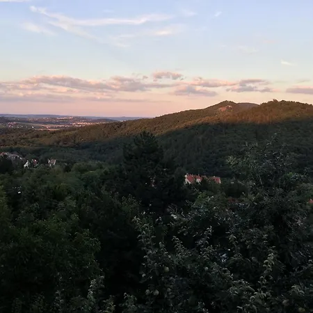 Panorama Kert *