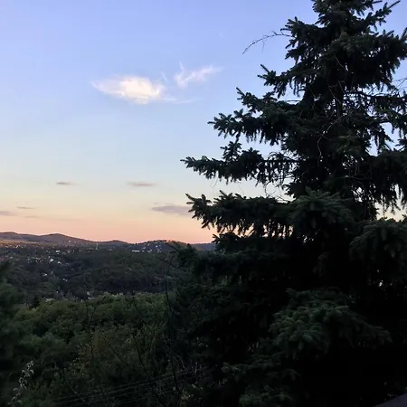 Panorama Kert *