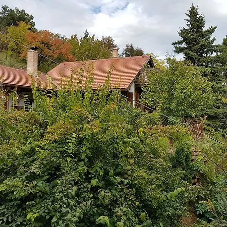 Panorama Kert *