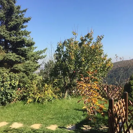 Panorama Kert