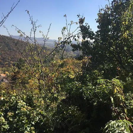 Panorama Kert * Solymár