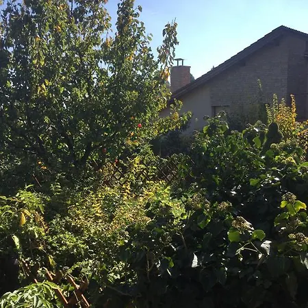 Panorama Kert *