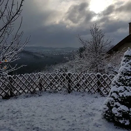 Panorama Kert