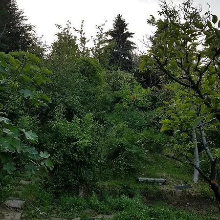 Panorama Kert *