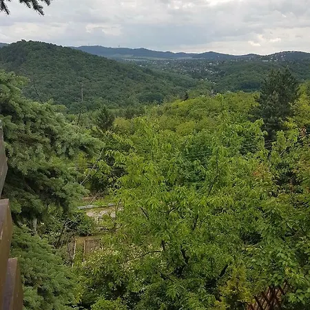 Panorama Kert بيت للعطل *